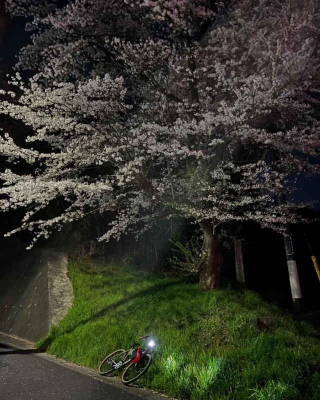 MONORAL BIKES - 一生モノのチタンバイクフレームを